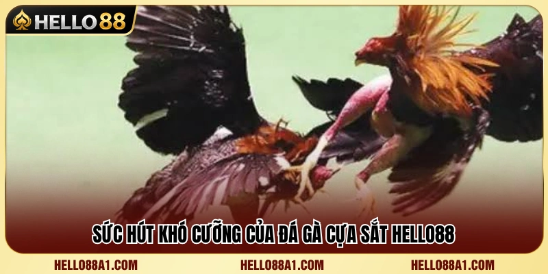 Đá Gà Cựa Sắt Hello88 – Lối Chơi Nhanh Và Khó Lường 2 Khám phá sức nóng của đá gà cựa sắt Hello88