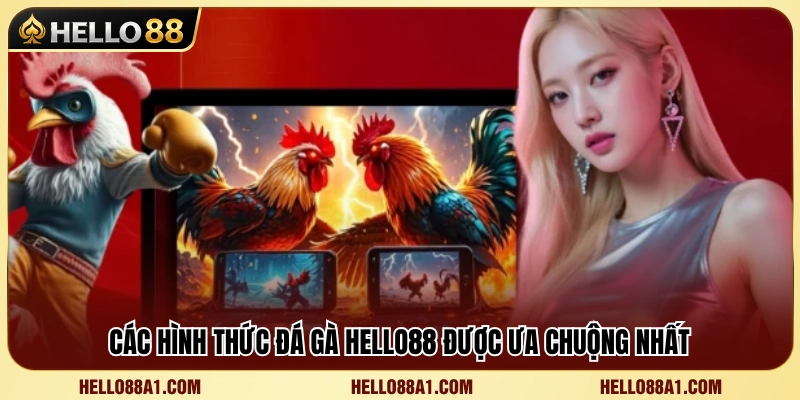 Đá Gà Hello88 2 Top hình thức cược đá gà được yêu thích