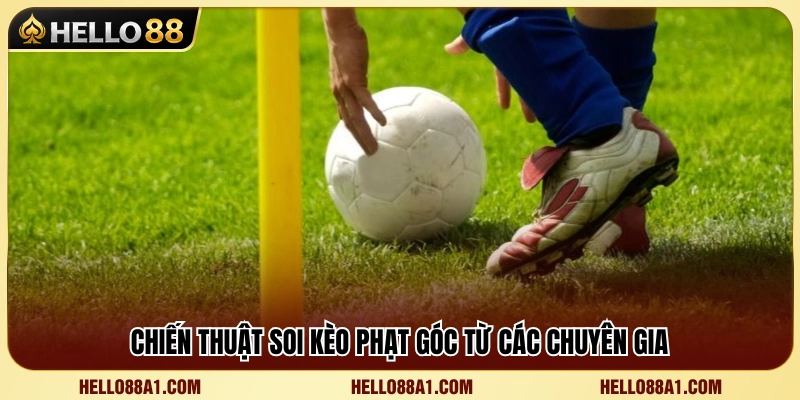 Kinh nghiệm phân tích kèo phạt góc hiệu quả 