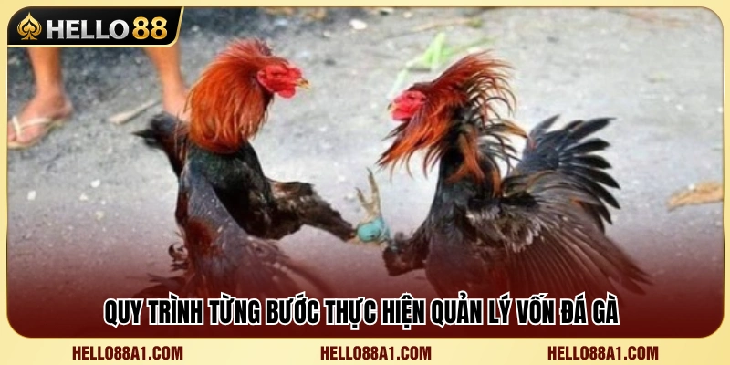 Hướng dẫn xây dựng kế hoạch quản lý vốn khoa học 